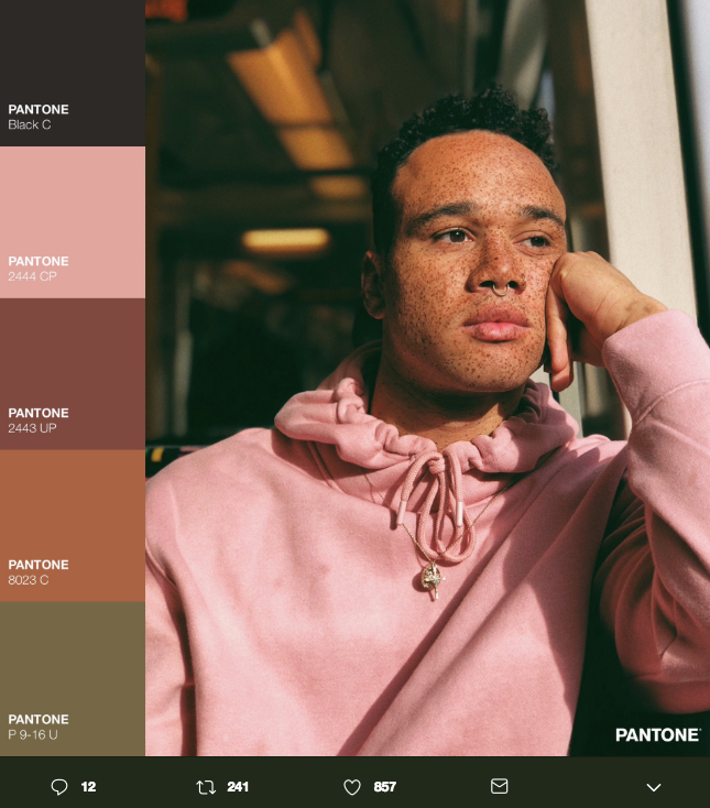 La belleza cromática del Pantone Challenge 8