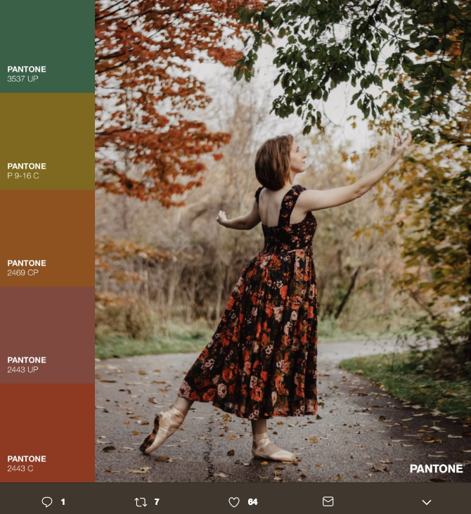 La belleza cromática del Pantone Challenge 11