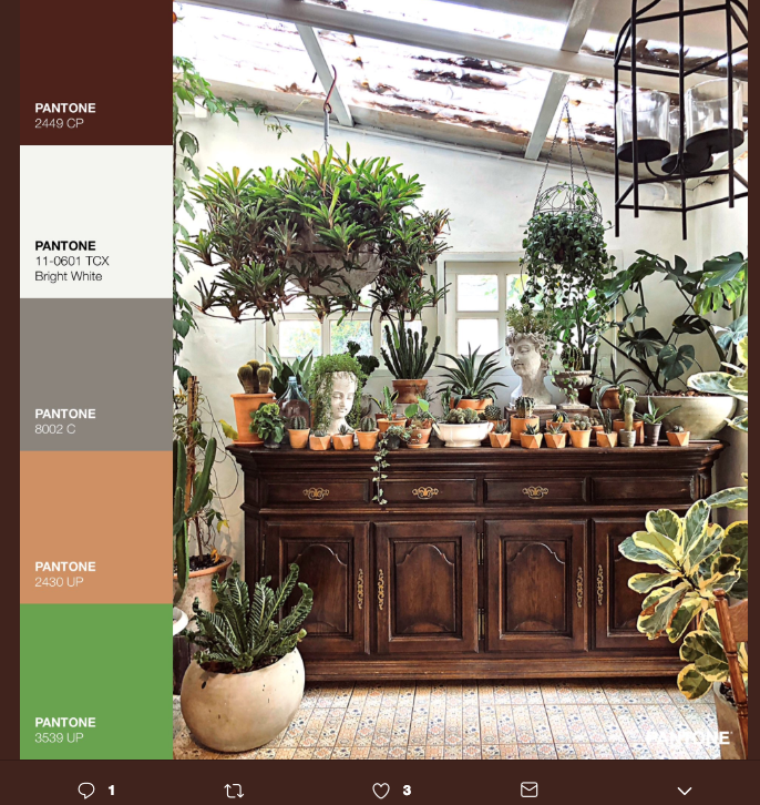 La belleza cromática del Pantone Challenge 12