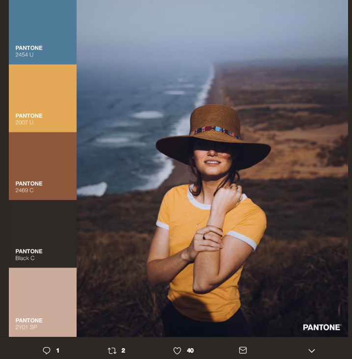 La belleza cromática del Pantone Challenge 13