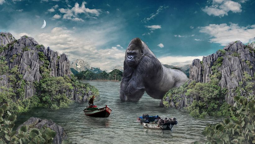 Welcome to the Jungle 0