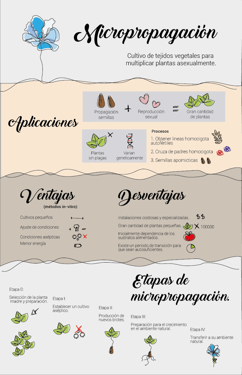 Biotechnology infographic 0
