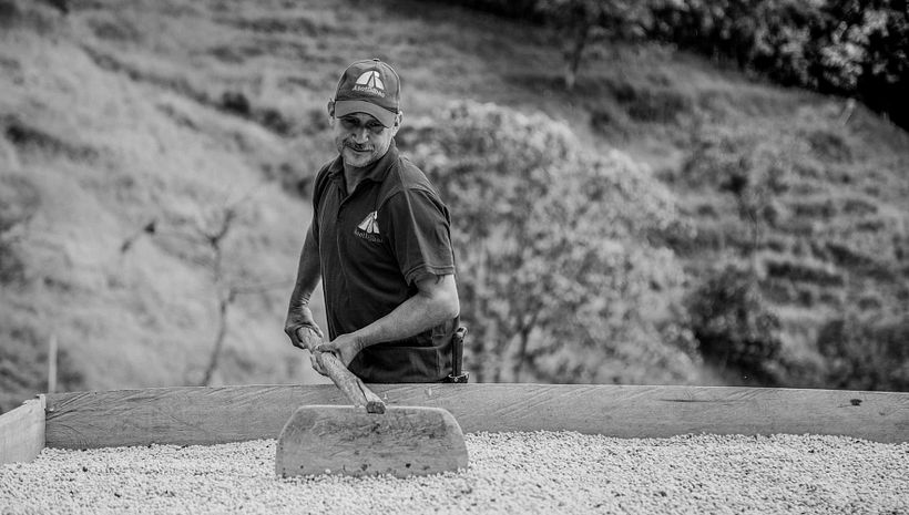 Mi Proyecto del curso: Fotoperiodismo y Fotografía Social "Café una excusa para la Paz" 2