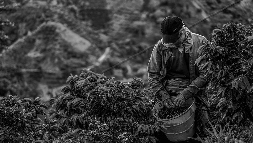 Mi Proyecto del curso: Fotoperiodismo y Fotografía Social "Café una excusa para la Paz" 4