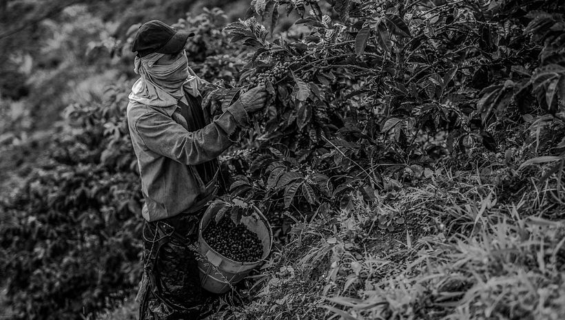 Mi Proyecto del curso: Fotoperiodismo y Fotografía Social "Café una excusa para la Paz" 6