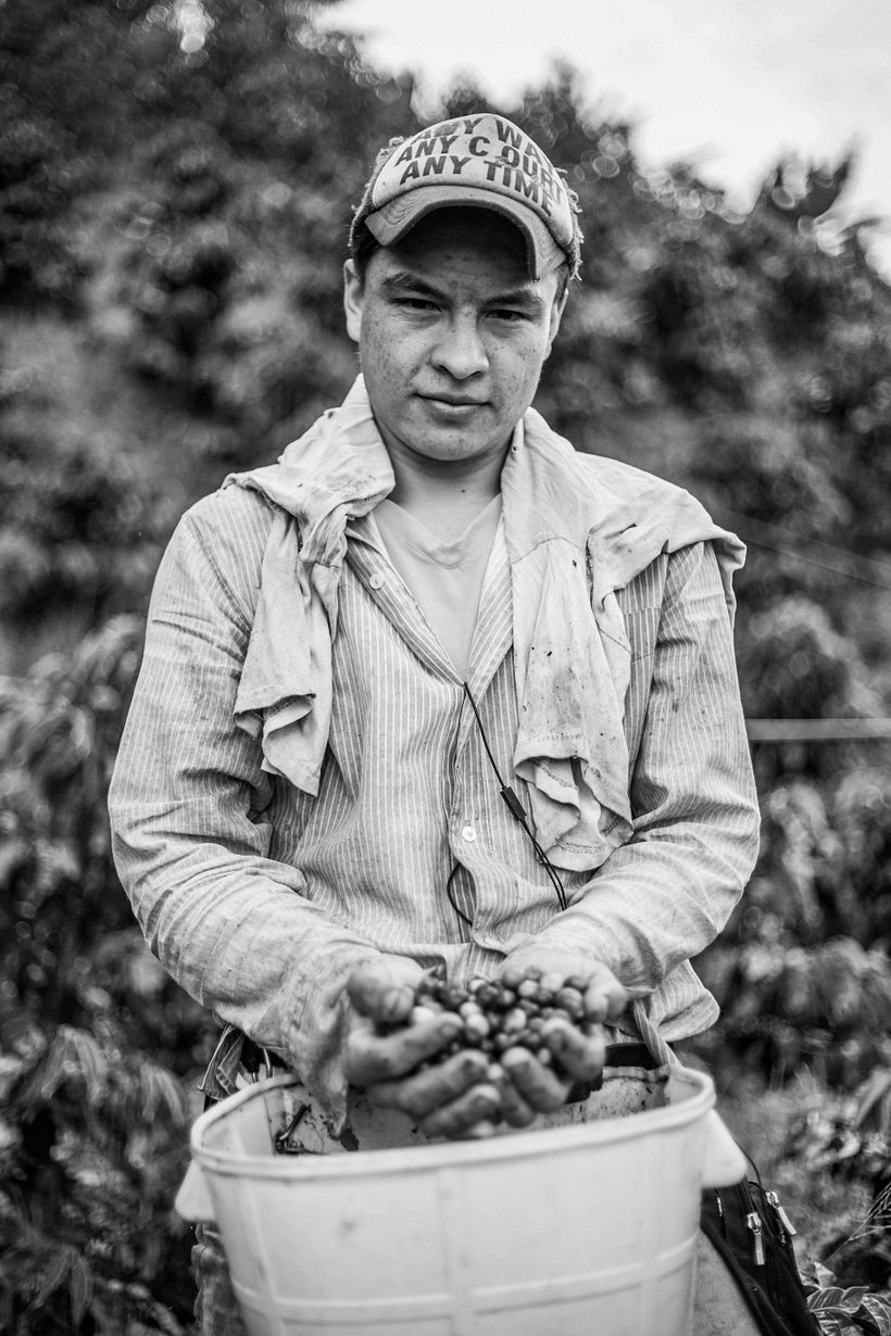 Mi Proyecto del curso: Fotoperiodismo y Fotografía Social "Café una excusa para la Paz" 8