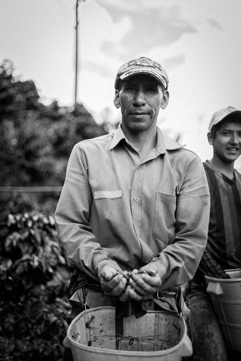 Mi Proyecto del curso: Fotoperiodismo y Fotografía Social "Café una excusa para la Paz" 9