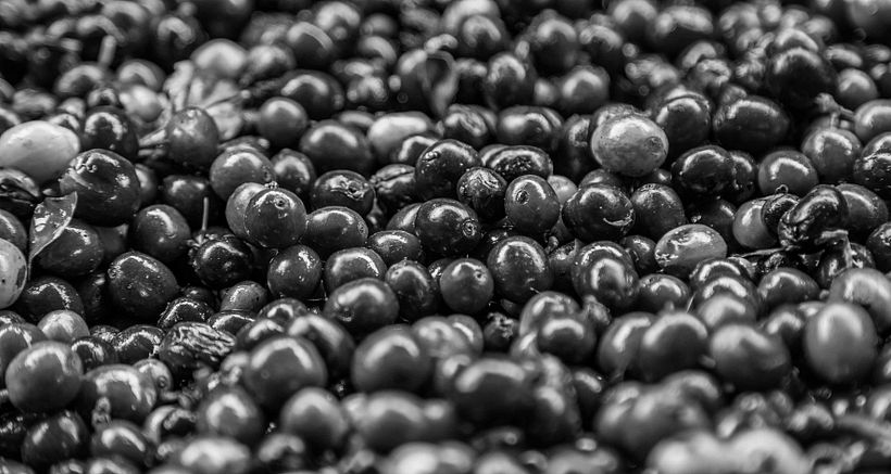 Mi Proyecto del curso: Fotoperiodismo y Fotografía Social "Café una excusa para la Paz" 11