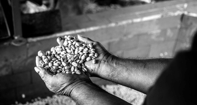 Mi Proyecto del curso: Fotoperiodismo y Fotografía Social "Café una excusa para la Paz" 12