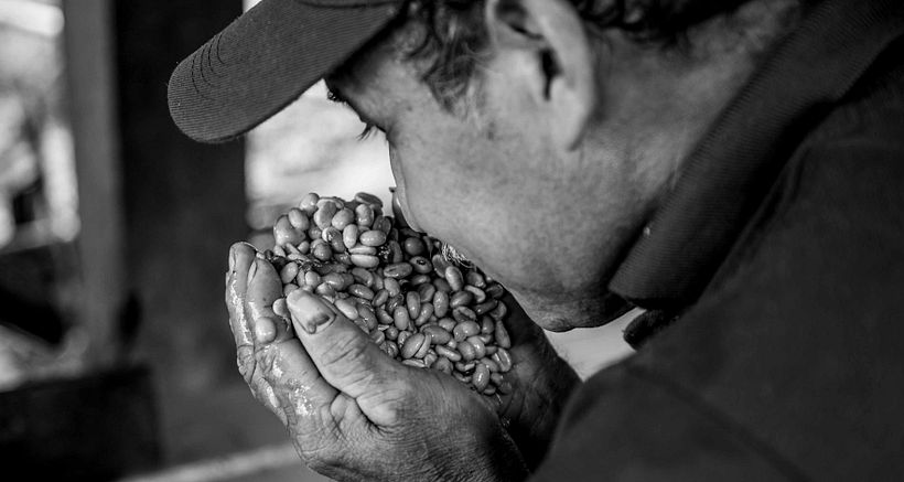 Mi Proyecto del curso: Fotoperiodismo y Fotografía Social "Café una excusa para la Paz" 13