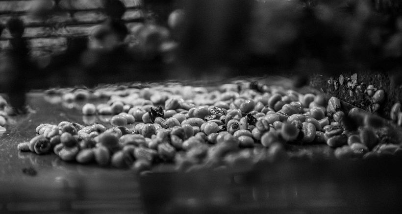 Mi Proyecto del curso: Fotoperiodismo y Fotografía Social "Café una excusa para la Paz" 14