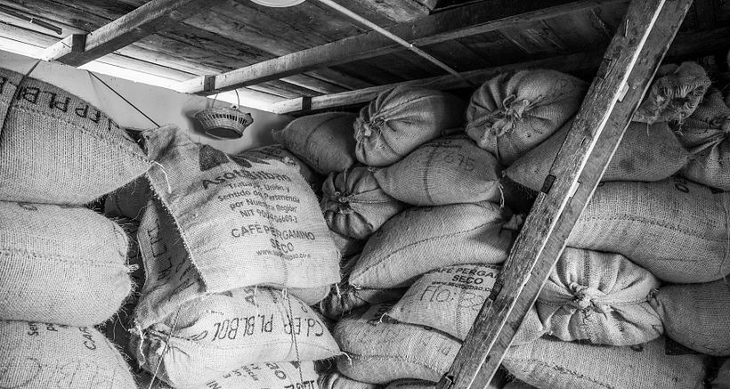 Mi Proyecto del curso: Fotoperiodismo y Fotografía Social "Café una excusa para la Paz" 15