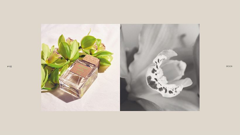 Stradivarius Essentials | Packaging 5