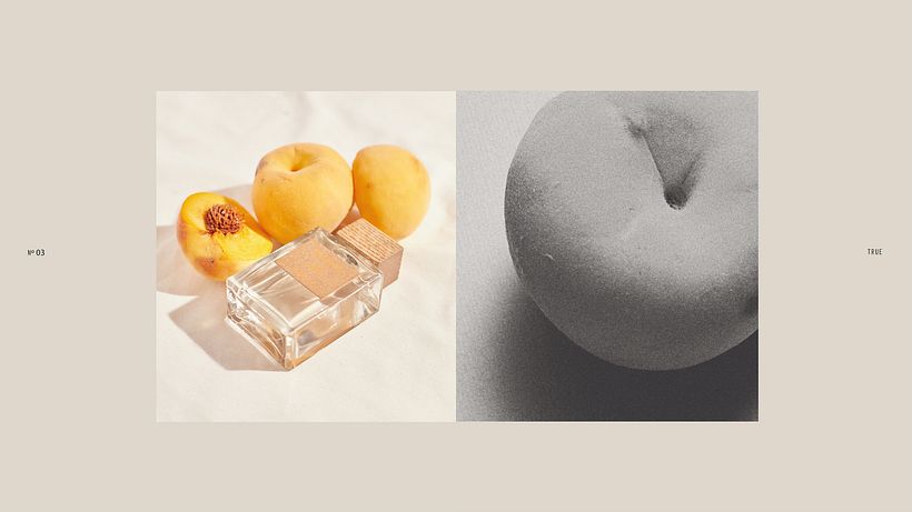 Stradivarius Essentials | Packaging 7