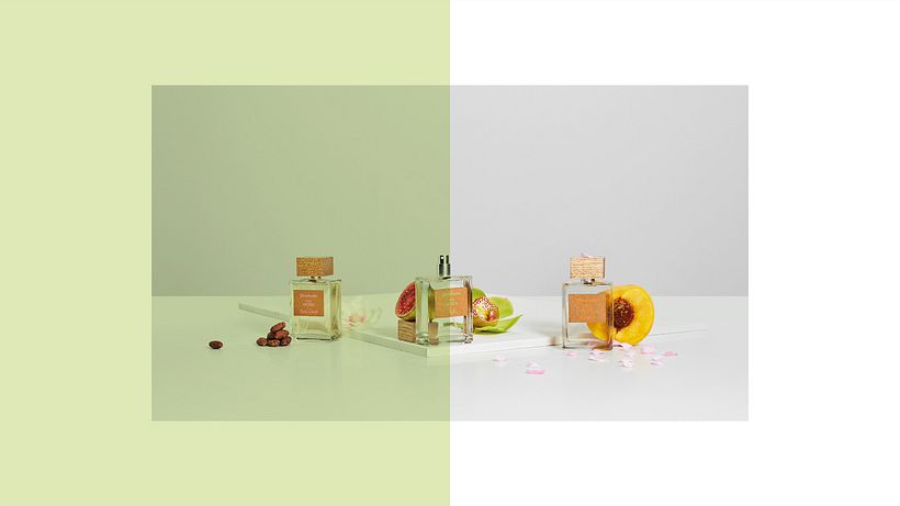 Stradivarius Essentials | Packaging 8