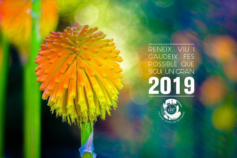 Postal d'Any Nou 2019. Fotografia, edició i disseny: Àlex Castelló