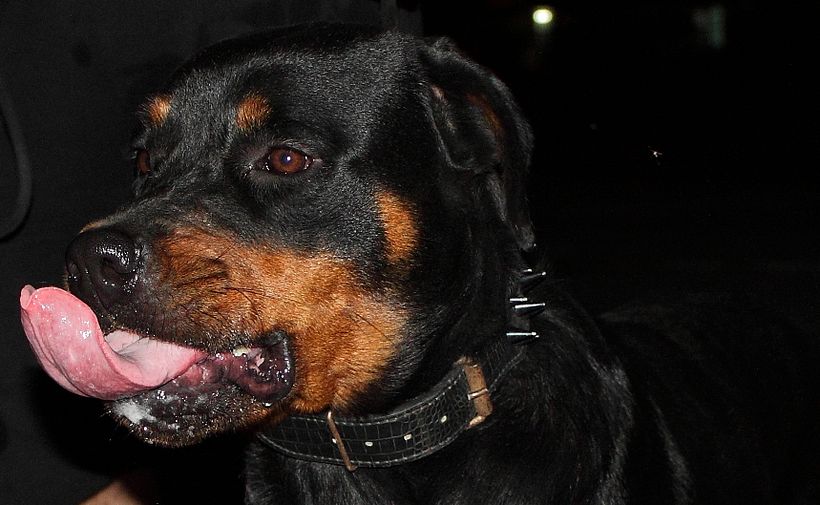 La hora de la comida -1