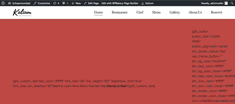 Problema de wordpress y un theme instalado 1
