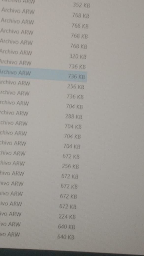 Primeros pasos, problemas con archivos RAW 0