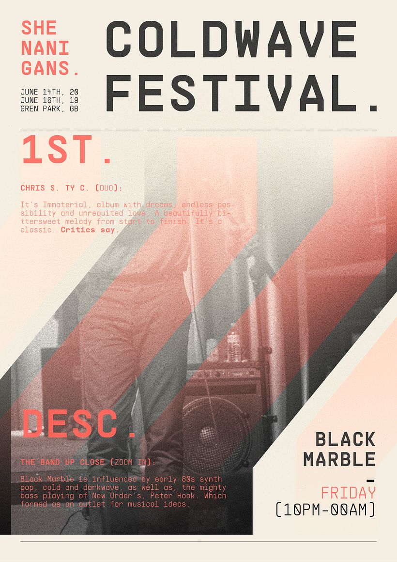 SHENANIGANS (Branding). 3