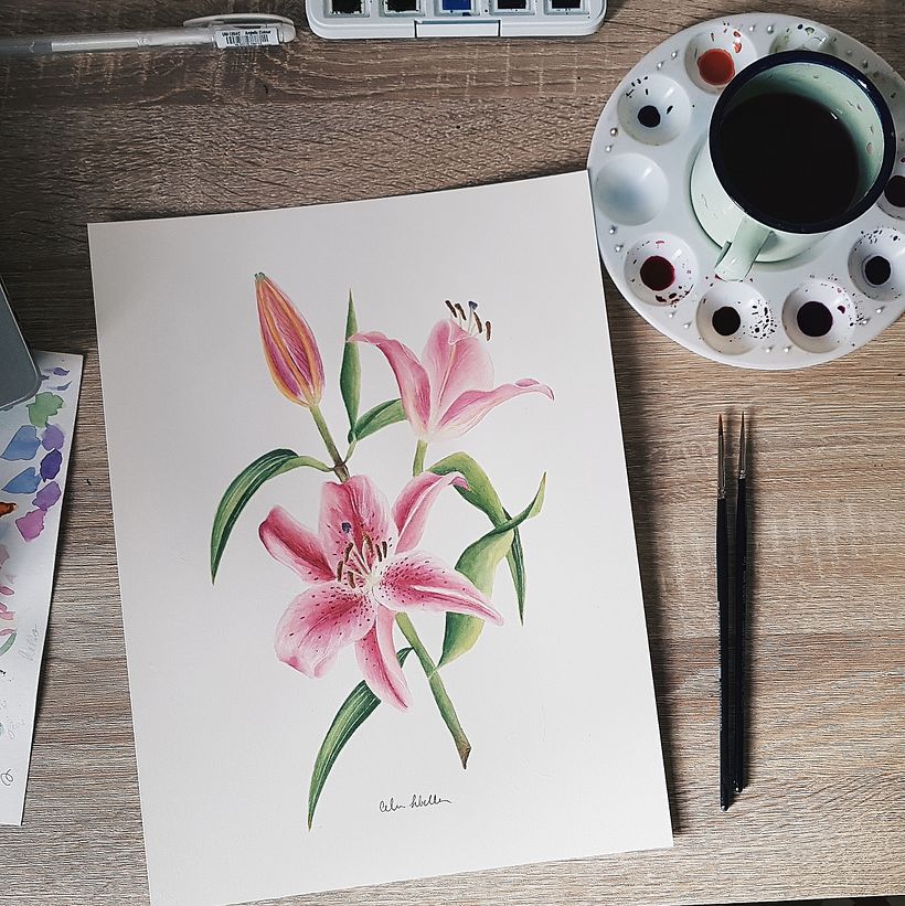 Proyecto final: ilustración botánica en acuarela 6