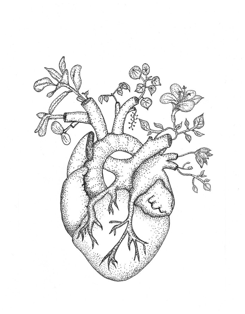 dibujos  rapidografo 1