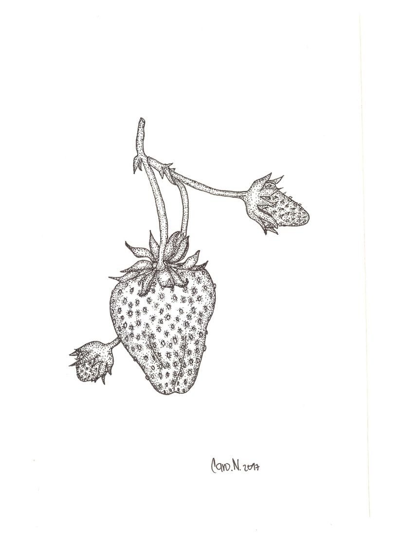 dibujos  rapidografo 2