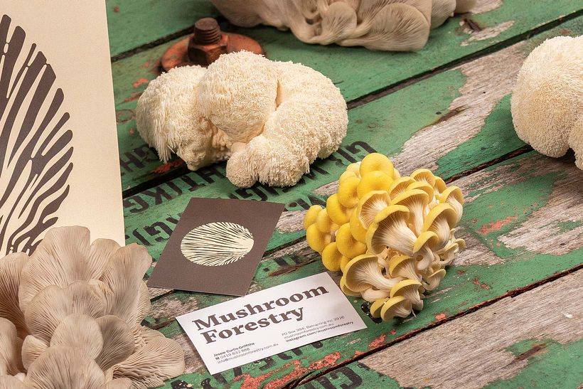 Mushroom Forestry (Logotipo) 10