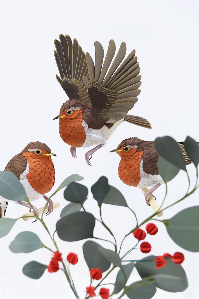 Winter scene: European robin.  -1