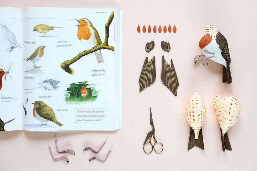 Winter scene: European robin.  0