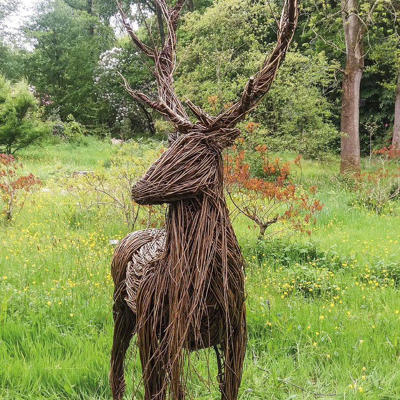 Mágicas esculturas hechas de ramas de sauce 7