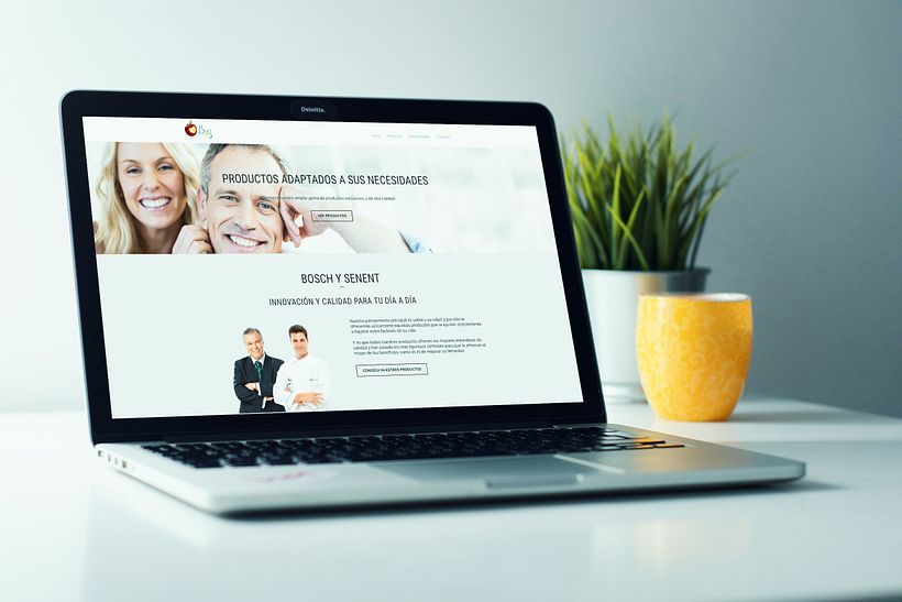Bosch y Senent | Desarrollo Web -1