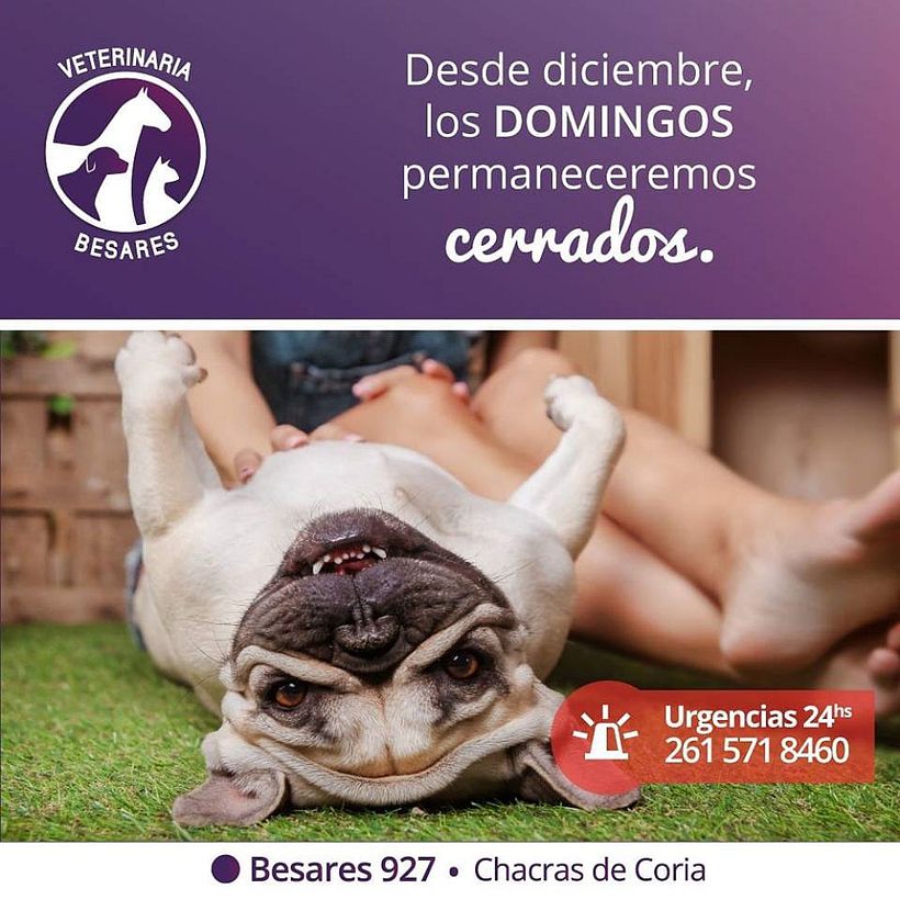 Veterinaria Besares 4