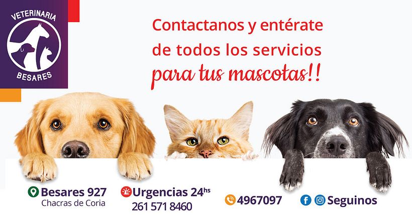 Veterinaria Besares 2