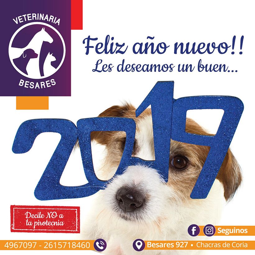 Veterinaria Besares 3