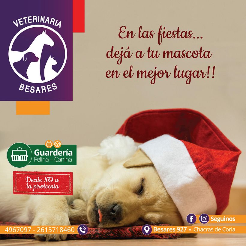 Veterinaria Besares 0