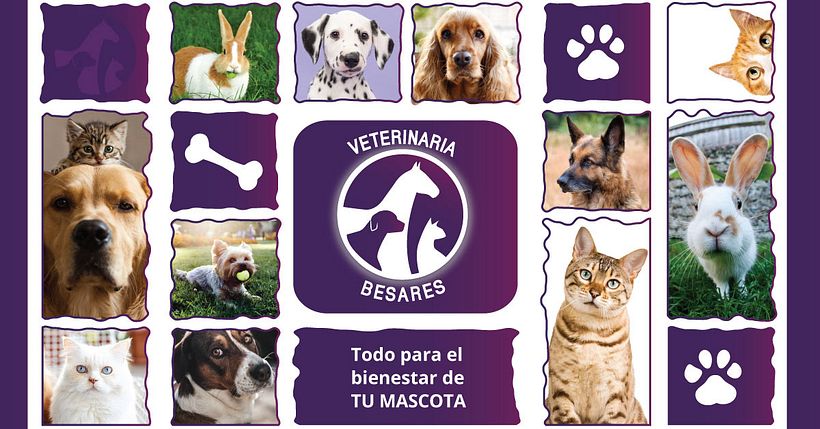 Veterinaria Besares 1
