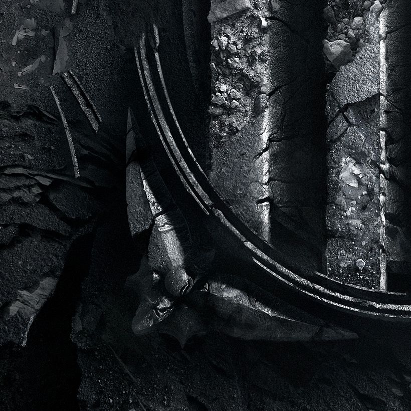 Sàpiens: El "servicio de ocupación" 4