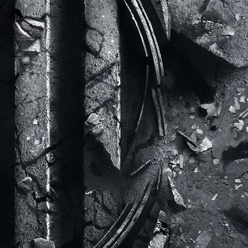 Sàpiens: El "servicio de ocupación" 5