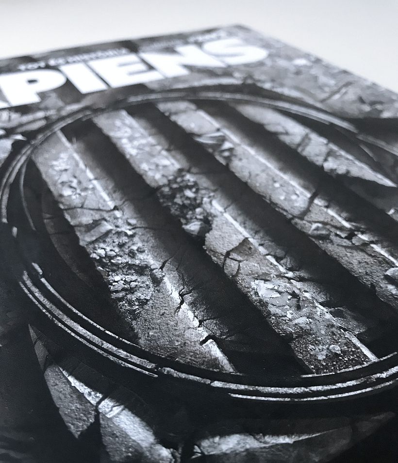 Sàpiens: El "servicio de ocupación" 7