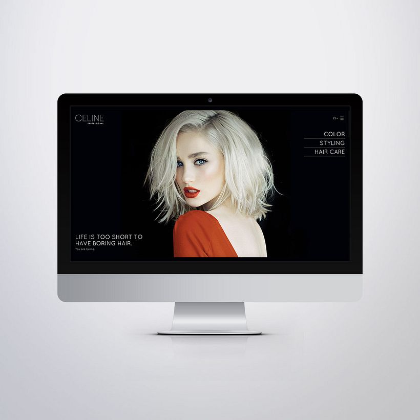 Diseño Web Celine Professional 2