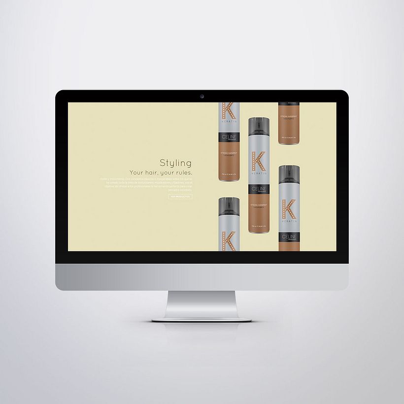Diseño Web Celine Professional 5