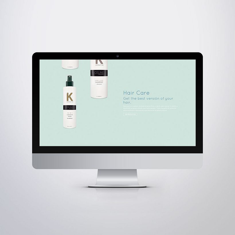 Diseño Web Celine Professional 6