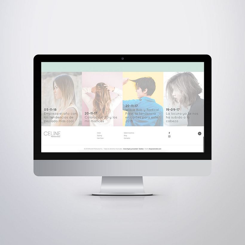 Diseño Web Celine Professional 7