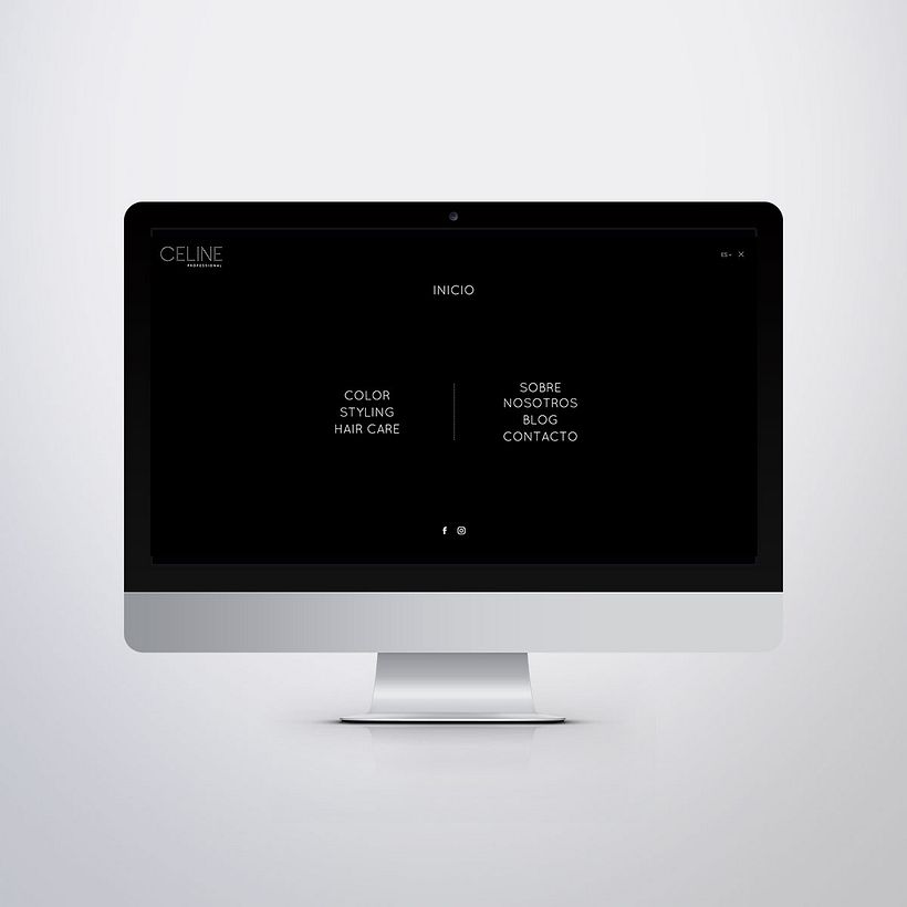 Diseño Web Celine Professional 8
