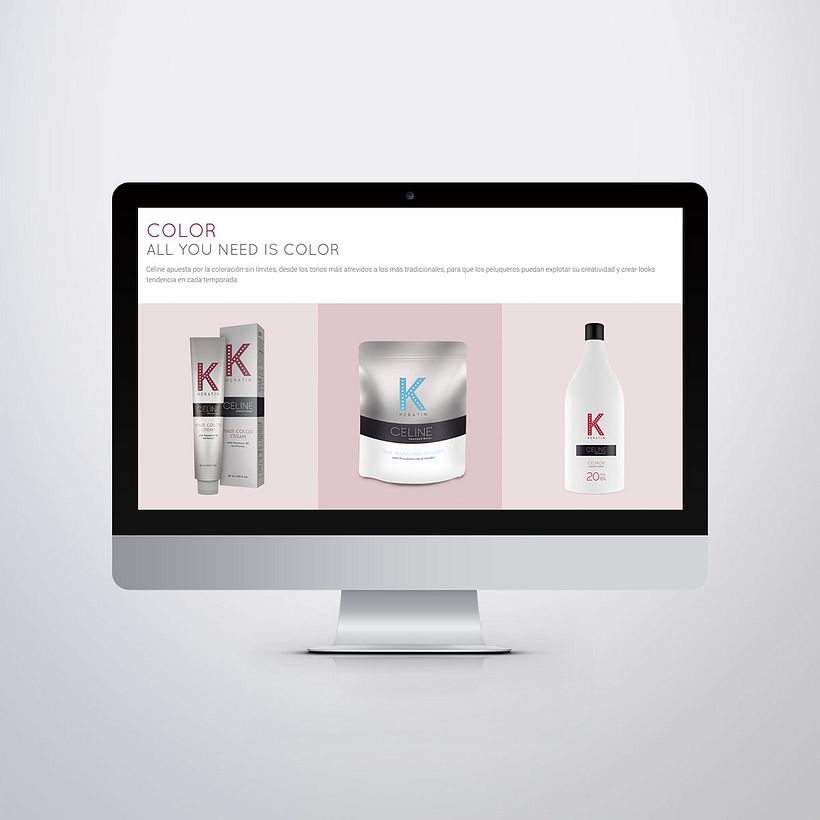 Diseño Web Celine Professional 9