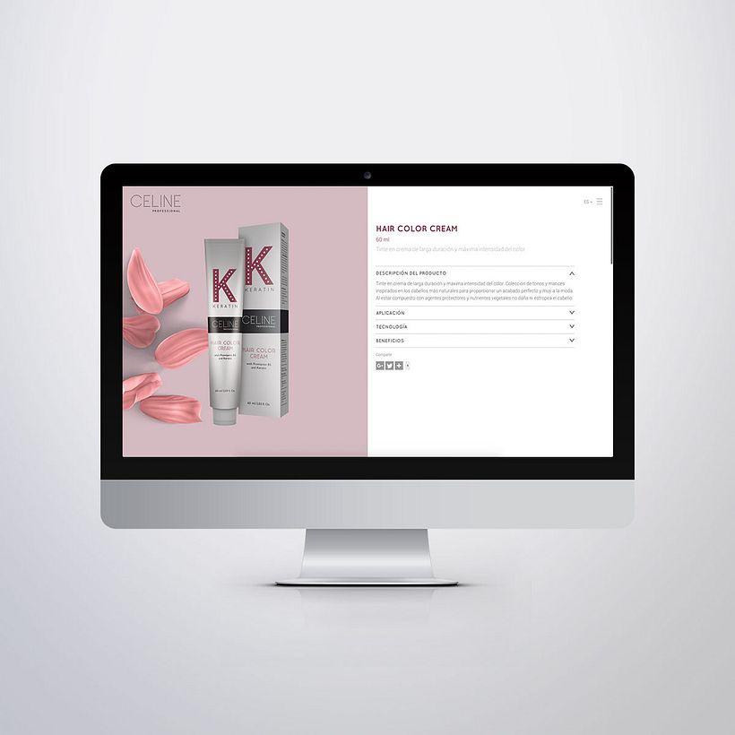 Diseño Web Celine Professional 10