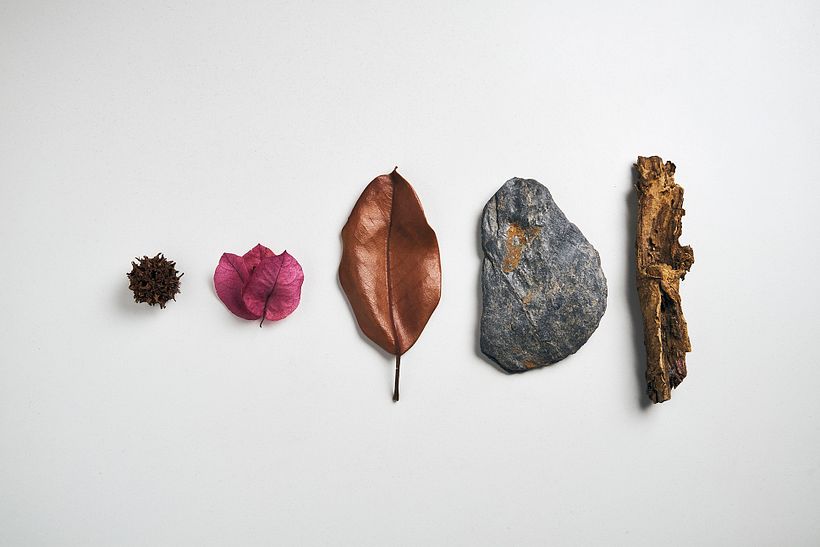 Nature Textures 0