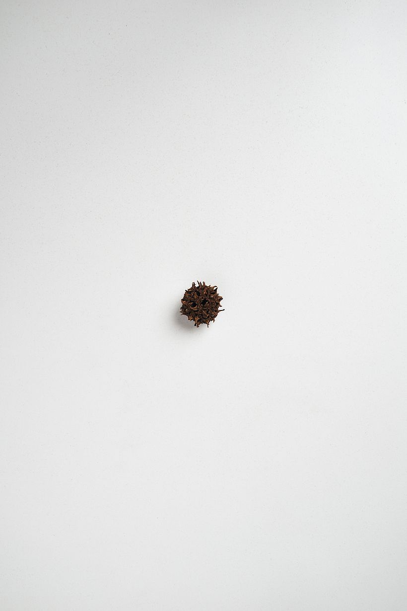 Nature Textures 1