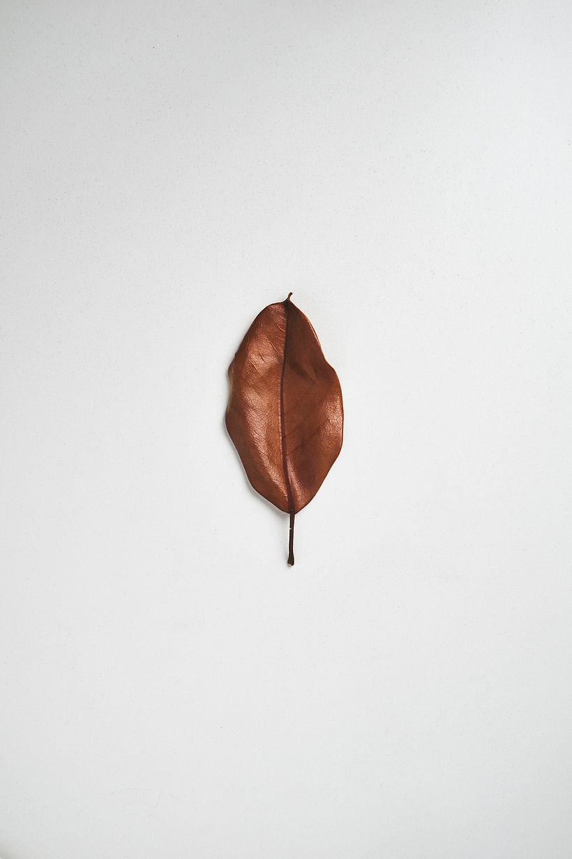 Nature Textures 3
